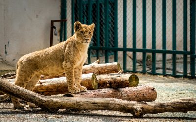 Gorgeous Dohal has grown so much!