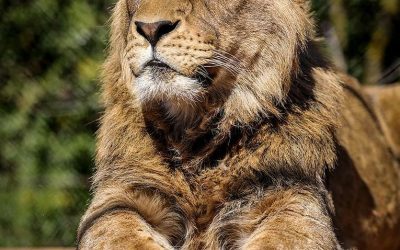 See you in two weeks